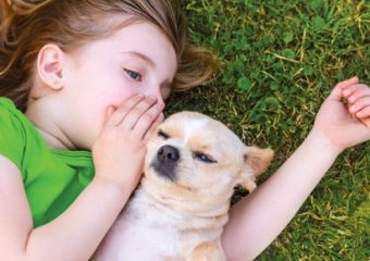 Wat als wij de dieren konden begrijpen?