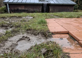 Wateroverlast door tuinhuis buur? Los het zelf op in 5 stappen
